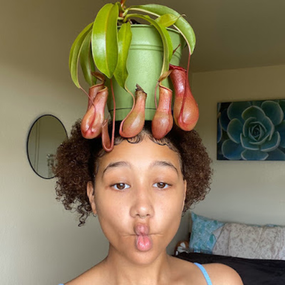 Meet your Posher, Kaysha - Picture 1 of 1